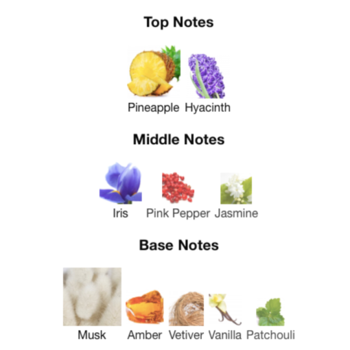 Fragrance Notes for Xerjoff Accento