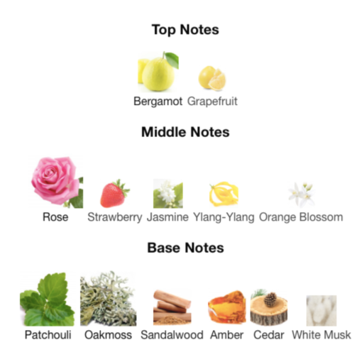 Fragrance Notes For Christian Dior Gris Montaigne