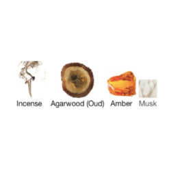 agarwood oud