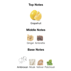 bvlgari tygar notes