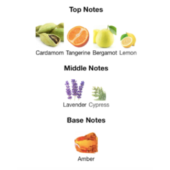 Fragrance Notes for Rayhaan Pacific