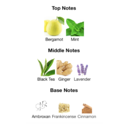 fragrance notes for Lattafa pride Art of arabia 1 in Sri Lanka at perfume zone lk