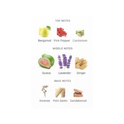 Lattafa Fakhar plain now available in Sri Lanka. it is inspired by Yves Saint Laurent Y Elixir