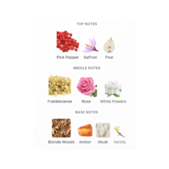 Rasasi haas London. Rayhaan tonquin giza. Rayhaan pharaoh Sri lanka