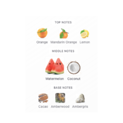 Atlantis Extrait by French Avenue is a Aromatic Aquatic fragrance for women and men. This is a new fragrance. Atlantis Extrait was launched in 2025. Top notes are Orange, Mandarin Orange and Lemon; middle notes are Watermelon and Coconut; base notes are Cacao, Amberwood and Ambergris.
