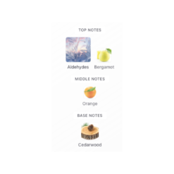 Rayhaan Cedrus Blanc Perfumes for men perfumes for women original perfumes in Sri lanka