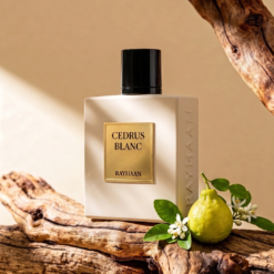 Rayhaan Cedrus Blanc Perfumes for men perfumes for women original perfumes in Sri lanka