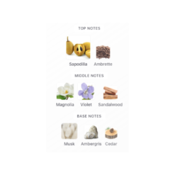 Nava Sol by Rayhaan is a Floral Woody Musk fragrance for women and men. This is a new fragrance. Nava Sol was launched in 2026. Top notes are Sapodilla and Ambrette; middle notes are Magnolia, Violet and Sandalwood; base notes are Musk, Ambergris and Cedar.